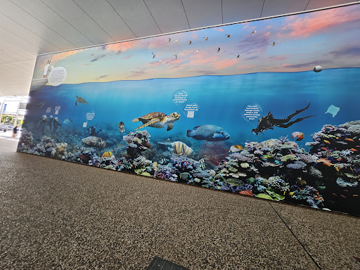 Domain Central - Thumbnail