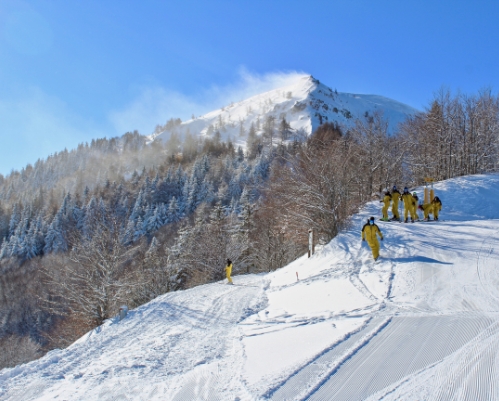 Cimone Scuola Sci - Visual