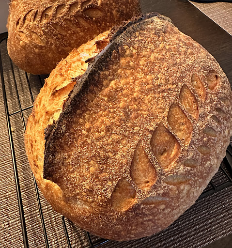 The Bread Lady - Visual