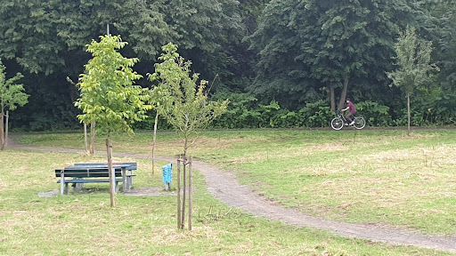 Picknickplatz zwischen Auedamm und Blumenauer Kirchweg Gallery - Germany