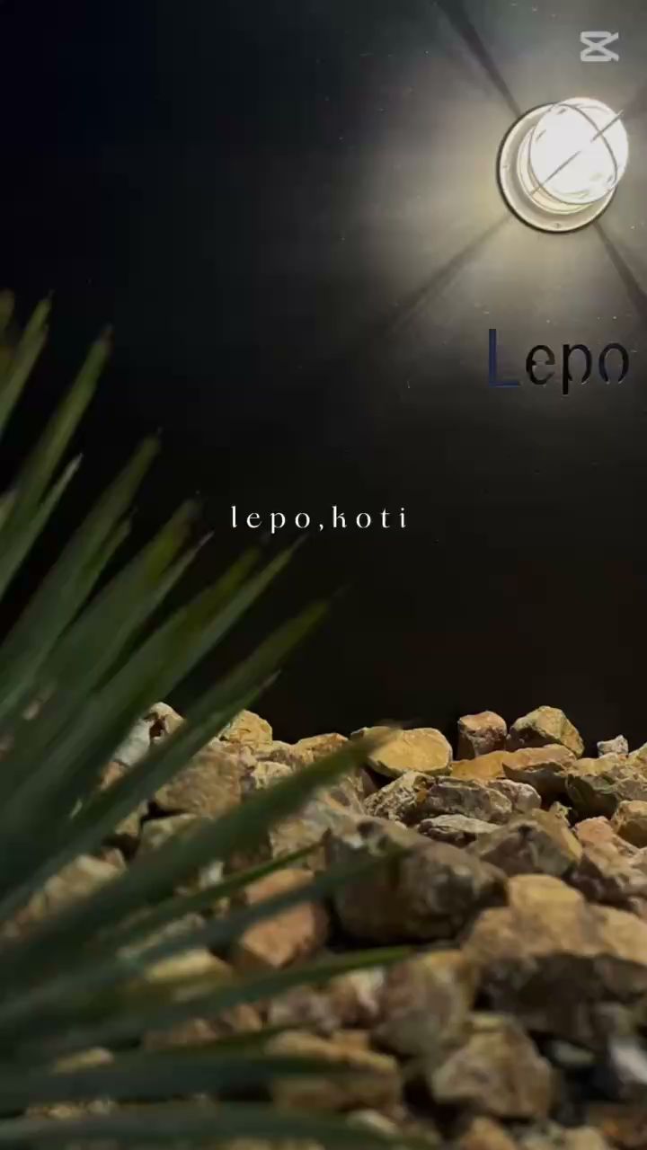 Lepo,koti