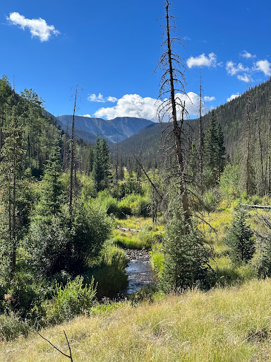 Ivy Creek Campground and Trailhead