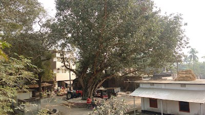 Photos of থানতলা