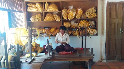 Photos of Golden Silk