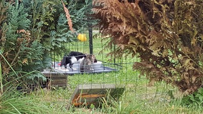 Photos of Le camping du Vieux Moulin