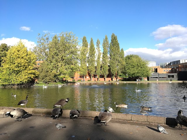 Swanswell Park & Pool