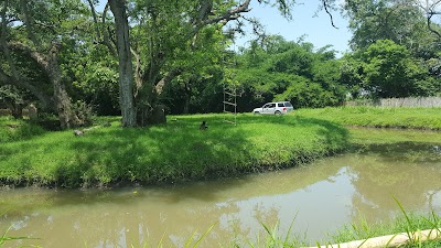 Photos of Auto Safari Chapin