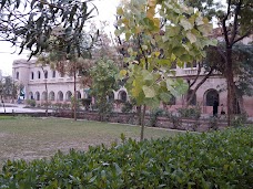 Elementary College Of Education larkana