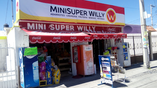 MINI SUPER WILLY - Visual