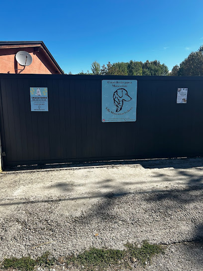 Villa Mascotas Felices