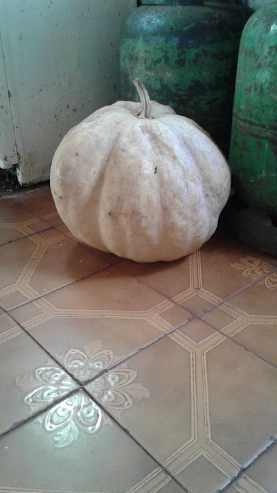 Photos of Taller El Negrito