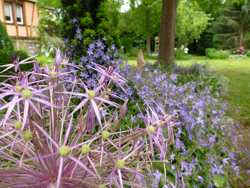 Photo de NATURE ET TECHNIQUE