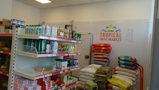 Tropical Mini Market snc- African and Asian Foods - Thumbnail