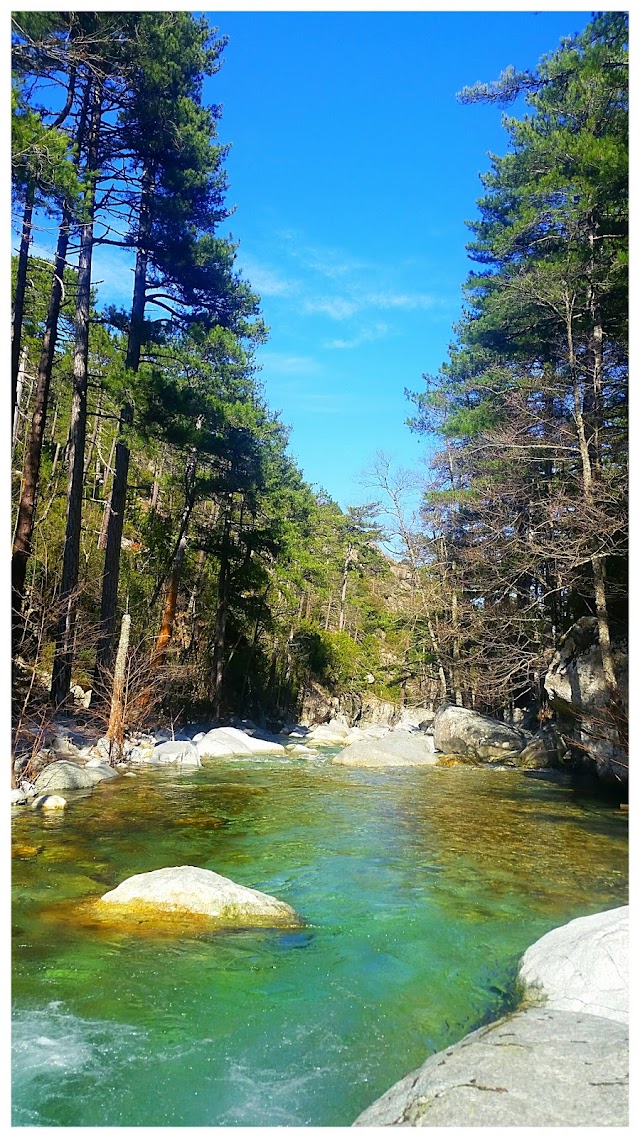 Gorges de la Restonica