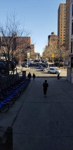 Webster Av/E 169 St