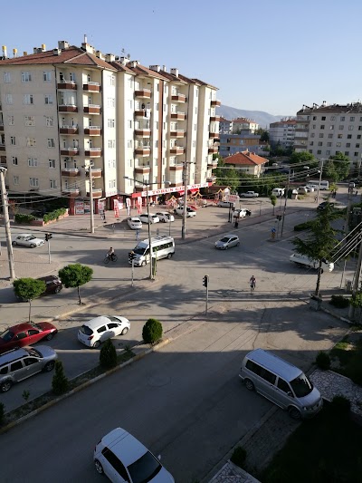 Photos of Torun Gida
