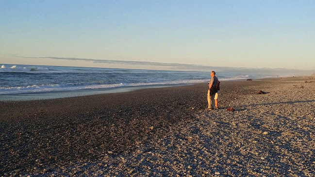 Reviews of Shining Star Beachfront Accommodation in Hokitika - Dog trainer