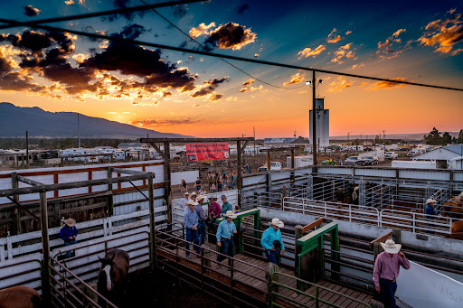Chief Joseph Days Rodeo - Thumbnail