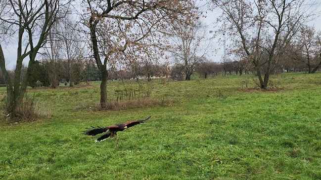 Pałac Młodzieży im. Juliana Tuwima - Łódź