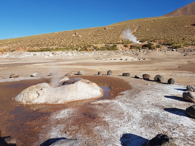 Geisers del tatio