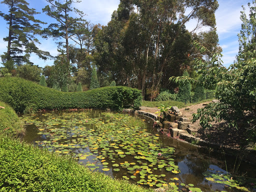 Beleura House & Garden Gallery - Australia
