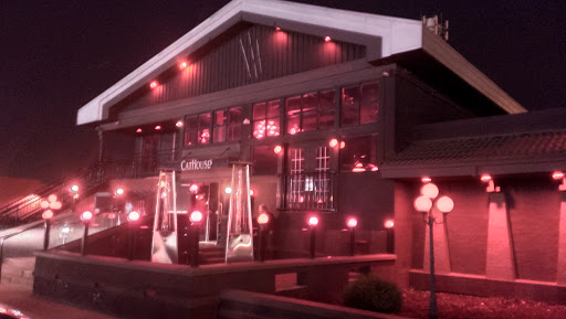 Cathouse - Visual