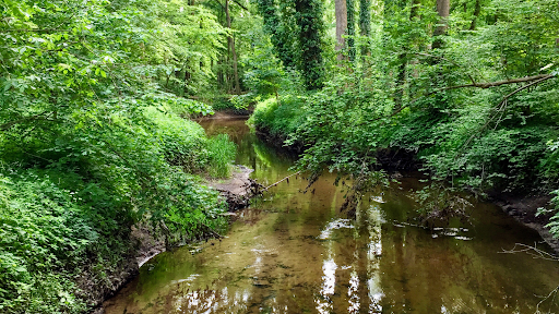 site_photo1