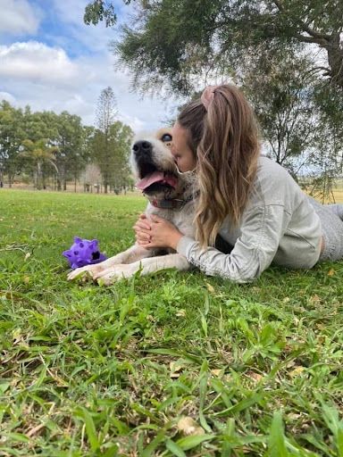 Brave Companion Dog Rescue Inc - Thumbnail