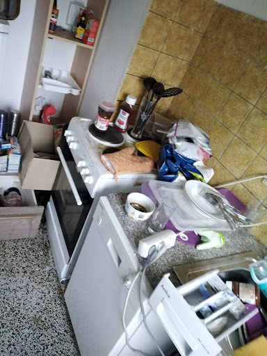 Der Aufräumer - Nicolae-Florin Lendea