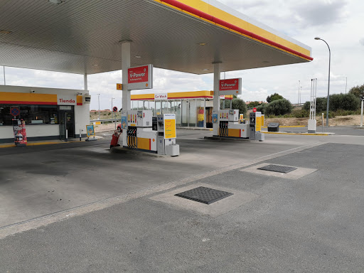 SHELL Olías - Visual