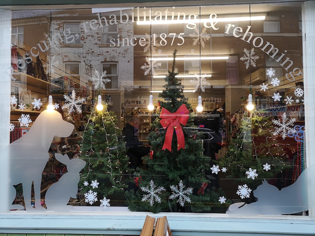 RSPCA Eastwood Shop