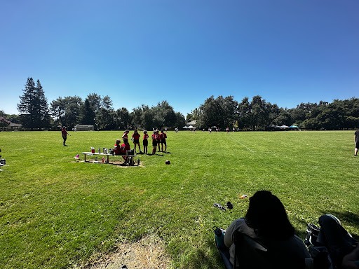 Ashton Park - Thumbnail
