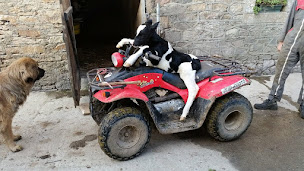 Photo n°8 de Clinique vétérinaire du Cormier à Saint-Aubin-du-Cormier (Clinique vétérinaire)