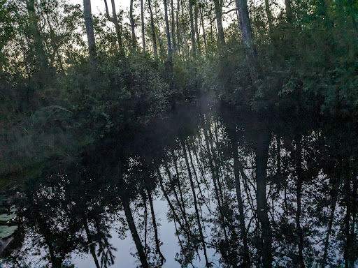 Floyds Island Cabin - Thumbnail