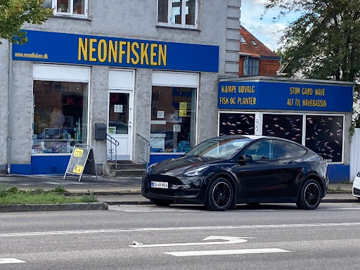 Neonfisken - Thumbnail