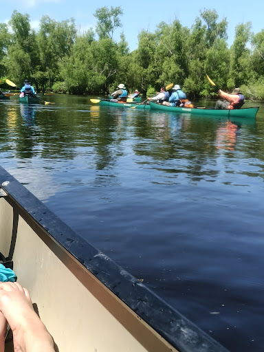 Swamp Base Gallery - United States