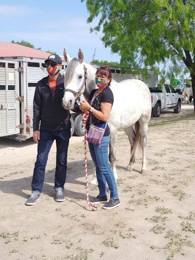 Retama Equine Hospital - Thumbnail