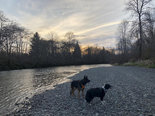 Big Spruce Resort RV Park & Cabin Rental - Thumbnail