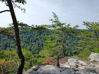 Collins Gulf at South Cumberland State Park