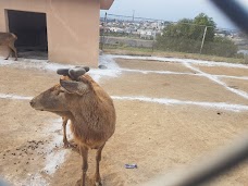 Bahria Zoo rawalpindi