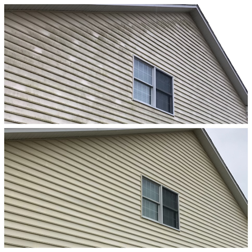 Shore Window Cleaning - Visual