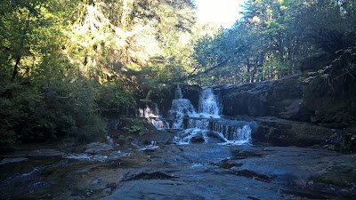 Alsea Falls Campground