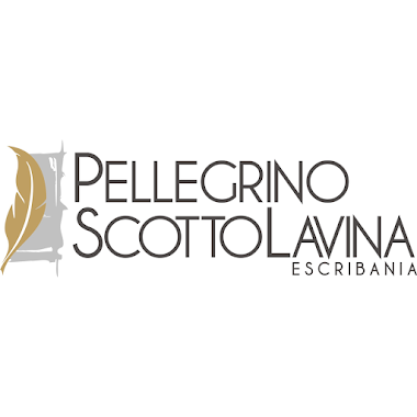 Pellegrino-Scotto Lavina, Author: Pellegrino-Scotto Lavina