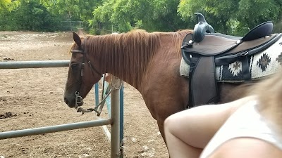 Photos of Seaside Stables Anguilla