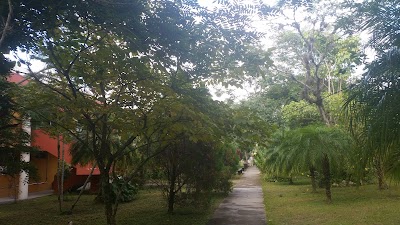 Photos of National School of Forestry Sciences
