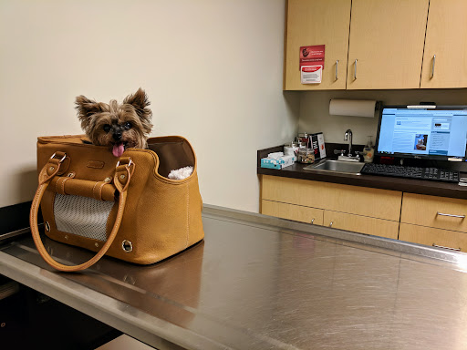 Hampstead Animal Hospital - Thumbnail