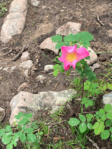 Serpent Lake Trail Head - Thumbnail