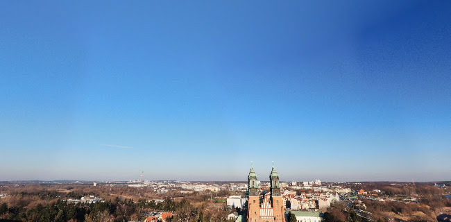 https://rezerwat.muzarp.poznan.pl/pl/zwiedzaj-z-nami-kosciol-nmp-in-summo-i-okolice