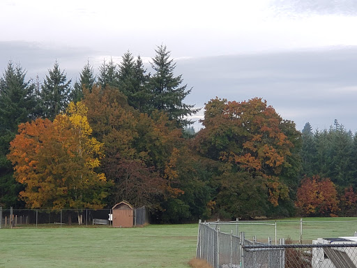 Centralia High School - Thumbnail