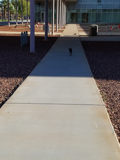 AWC, NAU, UA Parking Lot